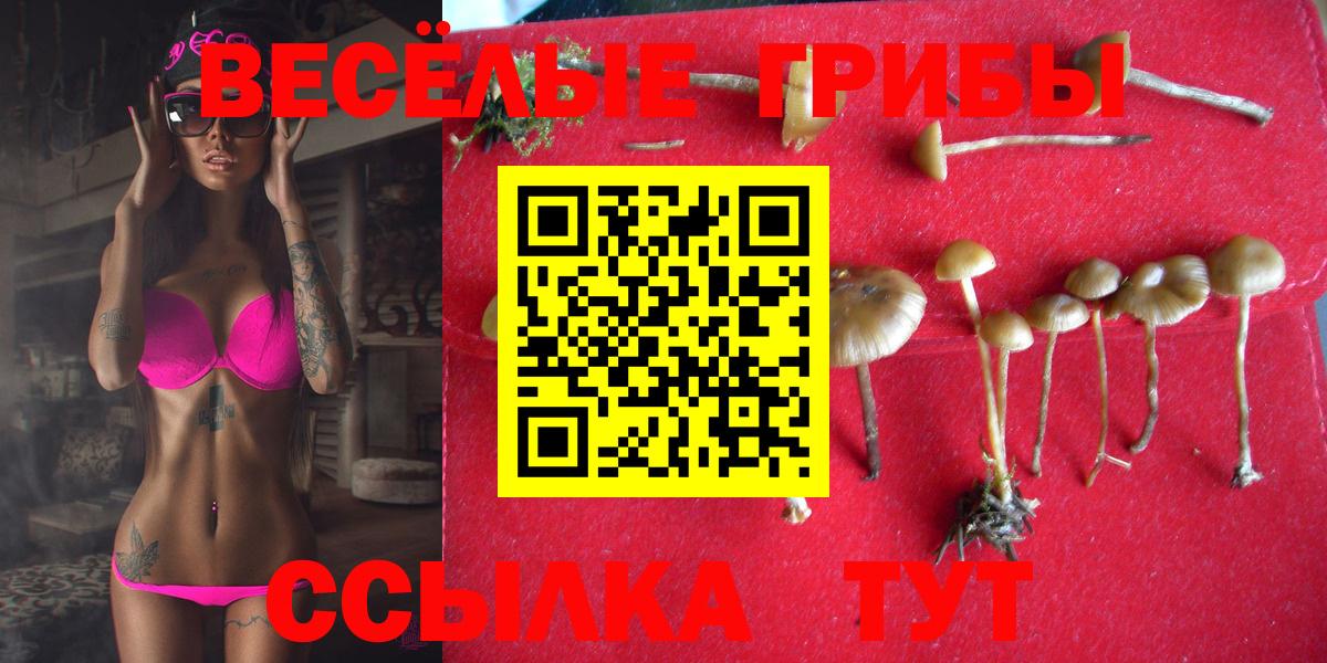 А ПВП Кизляр
