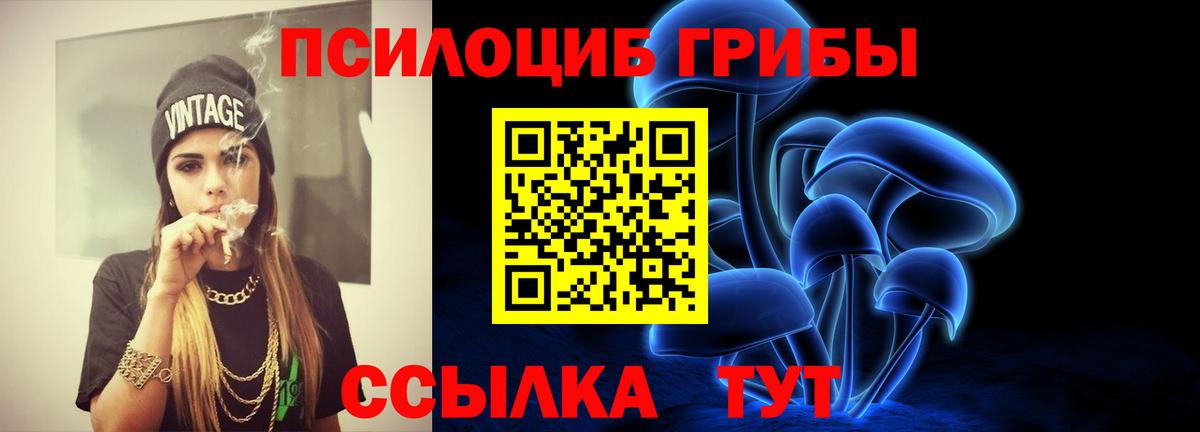 Кизляр  Псилоцибиновые грибы GOLDEN TEACHER  Вход с VPN 