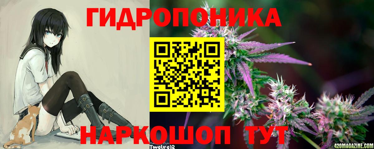 Бошки Шишки MAZAR  Шишки марихуана LSD WEED  Бошки марихуана планчик  Вход с VPN  Кизляр 